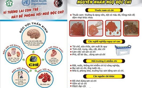 Ảnh hưởng của chì đến sức khỏe con người