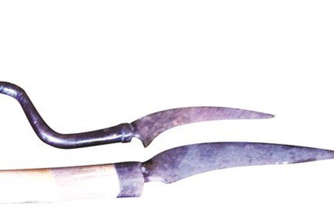 Một cán bộ quản lý rừng bị người phá rừng chém chết
