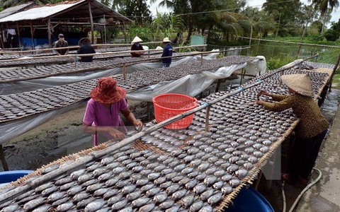 Cà Mau đăng ký đưa cá khô bổi thành thương hiệu đặc sản