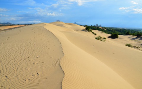 Cồn cát ven biển - hứa hẹn tài nguyên
