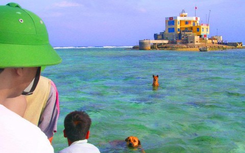 Dâng trào cảm xúc
với chú chó Trường Sa