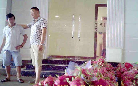 Thương lái Trung Quốc
thao túng thanh long