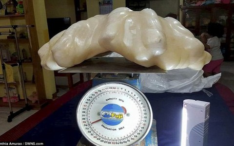 Ngỡ ngàng khối ngọc trai 100 triệu USD nặng 34kg ở Philippines