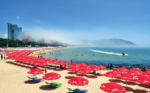 Quyến rũ Thu vàng thành phố Busan