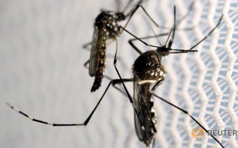 Hồng Kông phát hiện trường hợp Zika đầu tiên