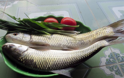 Ngọt bùi cá trôi đầm Lâm Bình