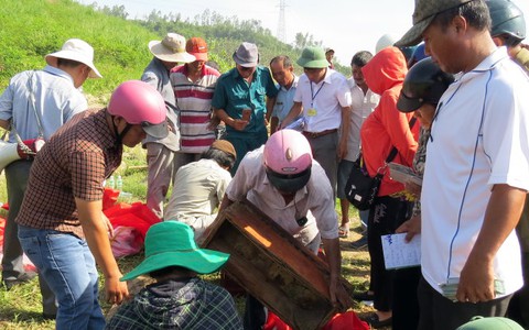 Bốc mộ, thân nhân không biết: Lấy mẫu xương giám định ADN