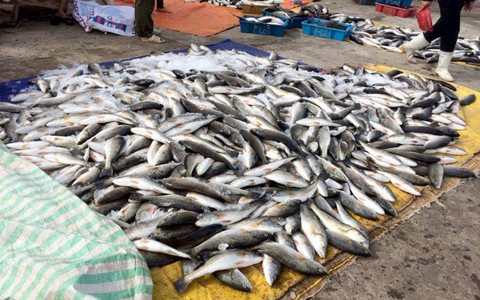 Bộ TN-MT kiểm tra việc đổ bùn thải ra biển Nghi Sơn