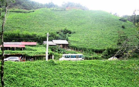 Thăm San Sả Hồ - "lãnh địa" của su su