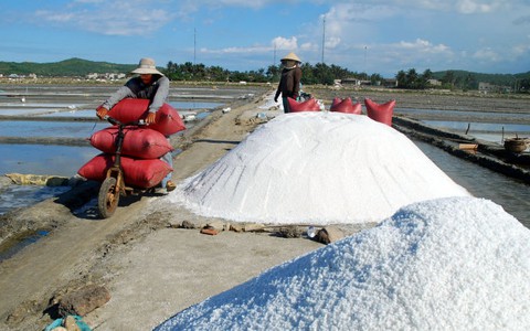 Nơi giám đốc nhận lương
1 triệu đồng/năm