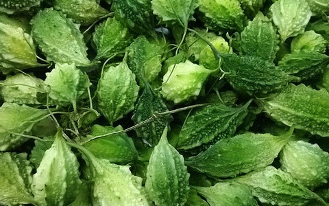 Kết hợp Đông – Tây y trong điều trị bệnh đái tháo đường type 2