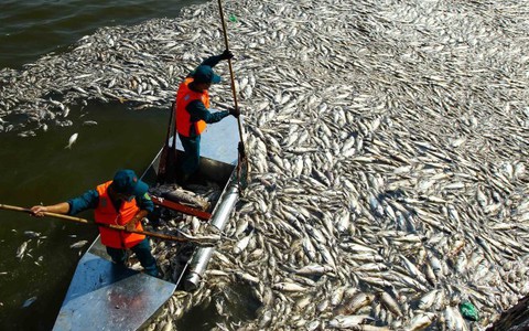 Audio 5-10: Không chỉ là chuyện cá chết