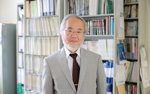 Giải Nobel y học 2016 trao cho nhà khoa học Nhật Yoshinori Ohsumi