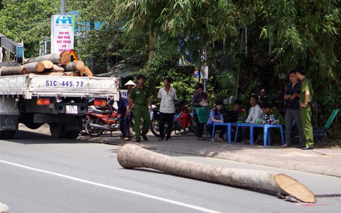 Cần cẩu gãy, cây dừa đè chết oan thiếu niên 15 tuổi