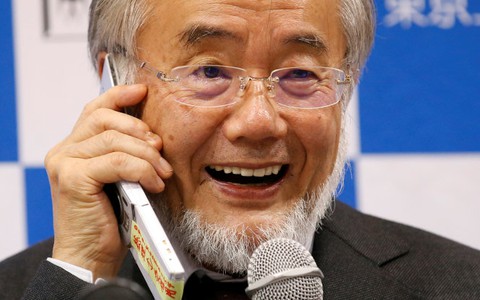 Chủ nhân Nobel Y học 2016 không "đi theo lối mòn"