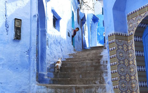 Khám phá thành phố màu xanh thiên đường Chefchaouen