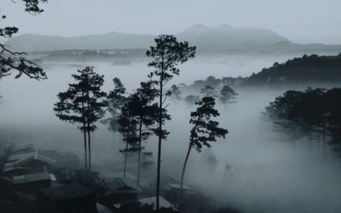 Đà Lạt một thời hương xa: Cuộc du hành thú vị