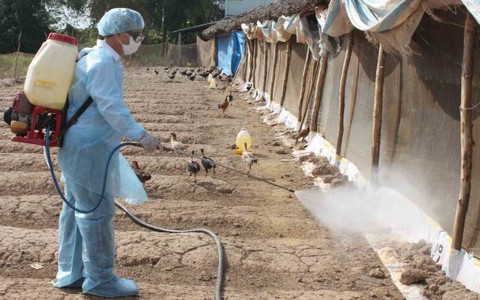 Triển khai tháng vệ sinh, tiêu độc khử trùng đợt 2 năm 2016