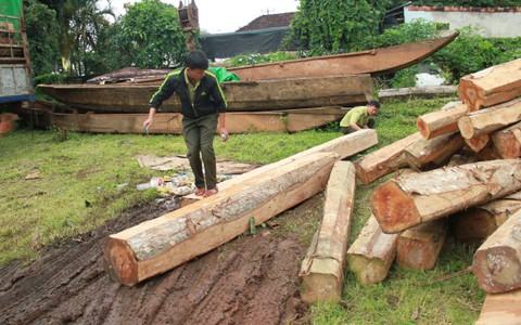Khởi tố hình sự vụ 5 xe gỗ "khủng" tại Gia Lai