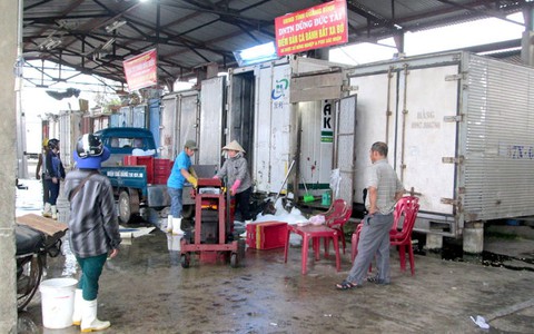 Quảng Bình khẩn trương xử lý 4.000 tấn hải sản tồn đọng