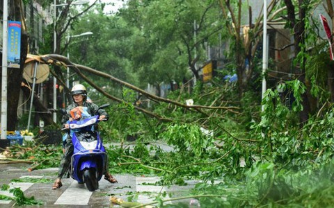 Chùm ảnh bão Sarika đổ bộ đảo Hải Nam