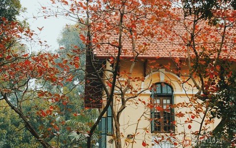 Đông đến muộn, tiết trời nóng ấm hơn
