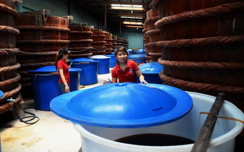 Có thể xem xét tạm đình chỉ hoạt động Vinastas