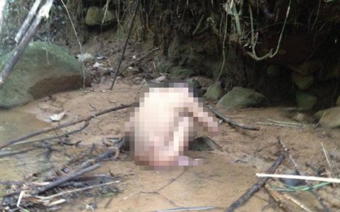 Tìm thấy nam thanh niên lạc 7 ngày trong rừng
