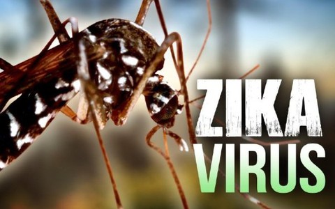 TP.HCM: 207 ca nhiễm virut zika