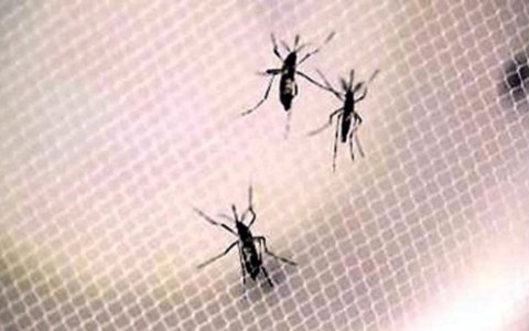 Quận Bình Thạnh nhiều ca nhiễm Zika nhất TP.HCM