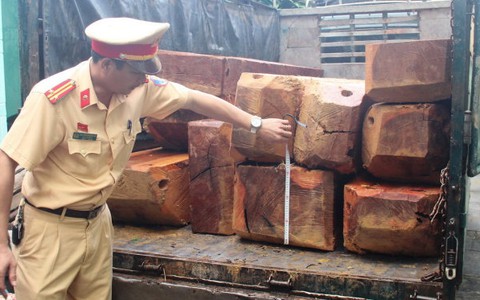 Bắt xe tải chở 10 phách gỗ dạ chồn lớn