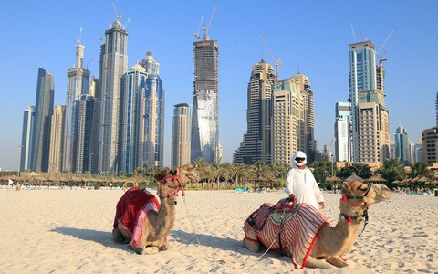 Dubai xây thư viện điện tử lớn nhất thế giới trị giá 270 triệu USD