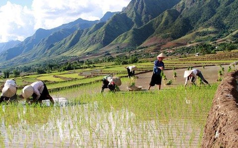 Rà soát, cấp đất sản xuất cho người dân Tây Bắc