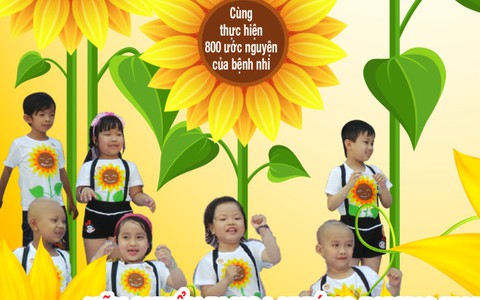 Sáng 3-12 vào Đầm Sen miễn phí với hoa hướng dương