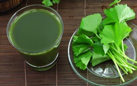 Ngạc nhiên công dụng đa năng của… rau má