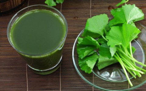 Rau má – vị sâm dân dã