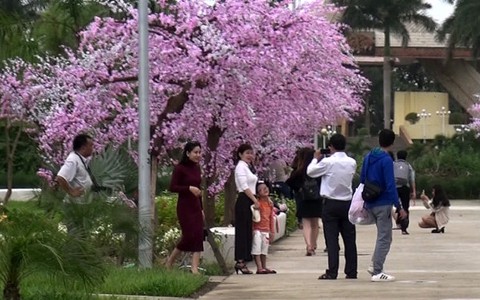 Dân chụp ảnh ở Cung văn hóa thiếu nhi Đà Nẵng bị thu tiền
