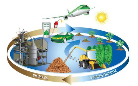 Quy hoạch phát triển điện sinh khối đồng bằng Sông Cửu Long