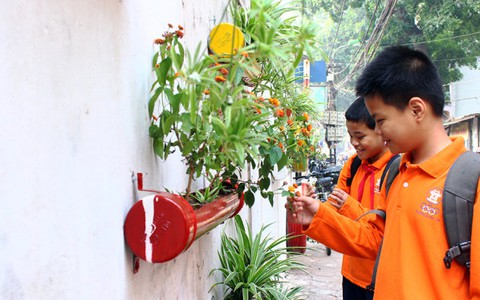 Hô biến, bãi rác thành vườn hoa