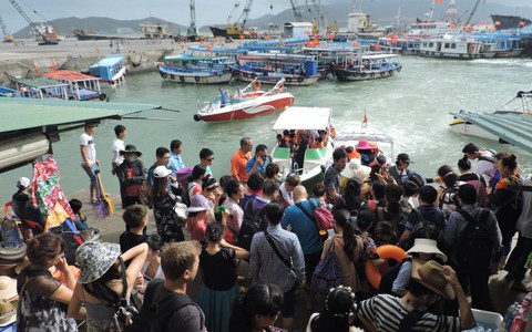 Nha Trang tăng khách Trung Quốc, Nghệ An hoa hướng dương thu hút khách