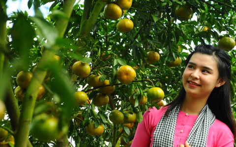 Tết du xuân Đồng Tháp, dẫn lối về tuổi thơ