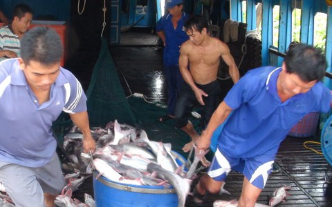 Vụ “chủ DN bỏ ra nước ngoài”: Nông dân mất tiền, mang thêm nợ