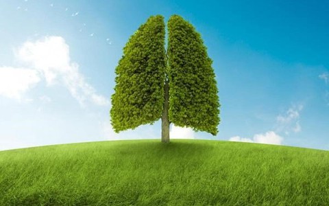 Để lá phổi luôn khỏe mạnh