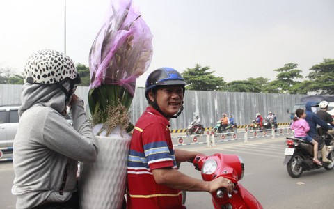 Lan hồ điệp tặng tết làm không kịp bán