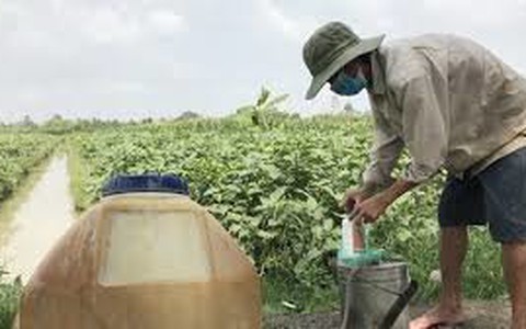 Hướng tới sản xuất và tiêu thụ “sạch”