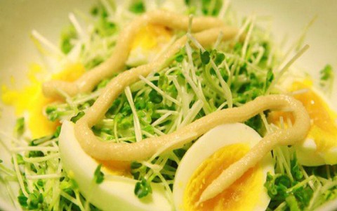 Rau mầm và những tác dụng bất ngờ