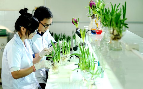 ĐH Tiền Giang liên tục đổi mới để phát triển