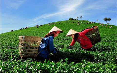 Triển lãm ảnh Hội ngộ tháng 3 giữa cao nguyên Bảo Lộc