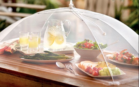 Những mối nguy dịch bệnh… từ ruồi nhà