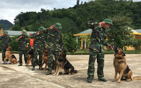 'Đồng đội' đặc biệt